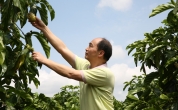 締造新商業(yè)的文明時代——走近溪地陽光，走近張學斌