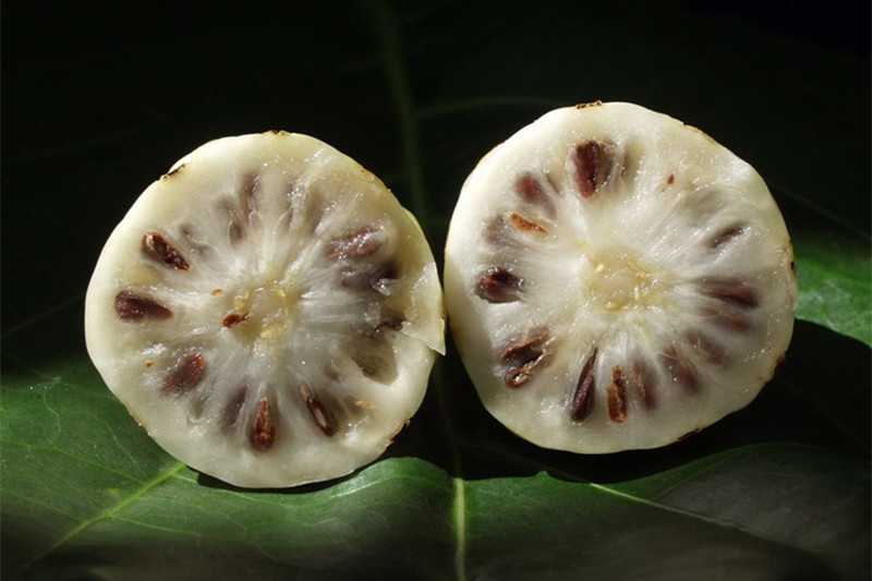 溪地陽(yáng)光