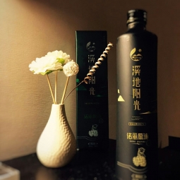 不諾麗，無生活。